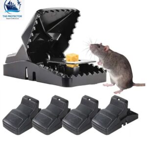 mouse trap